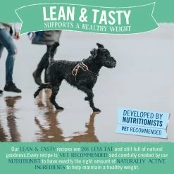 Butchers Butcher's Lean & Tasty Low Fat Dog Food Trays 24 X 150g -Dog Food shop 48774 3 scaled