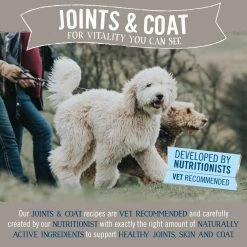 Butchers Butcher's Joints & Coat Wet Dog Food Trays 24 X 150g 7 Butchers Butcher's Joints & Coat Wet Dog Food Trays 24 X 150g -Dog Food shop 51374 3 1 scaled