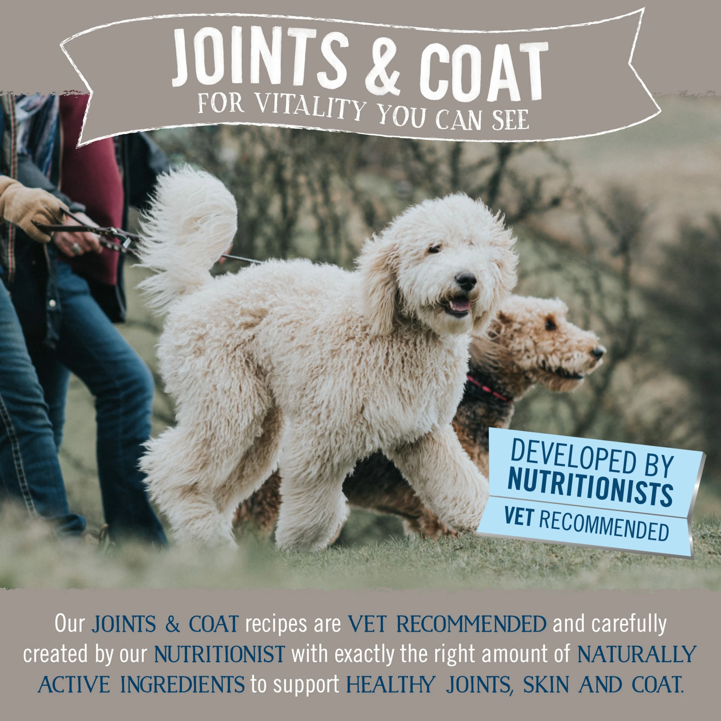 Butchers Butcher's Joints & Coat Wet Dog Food Trays 24 X 150g 3 Butchers Butcher's Joints & Coat Wet Dog Food Trays 24 X 150g - Image 3