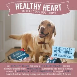 Butchers Butcher's Healthy Heart Dog Food Trays 24 X 150g -Dog Food shop 62297 3 scaled