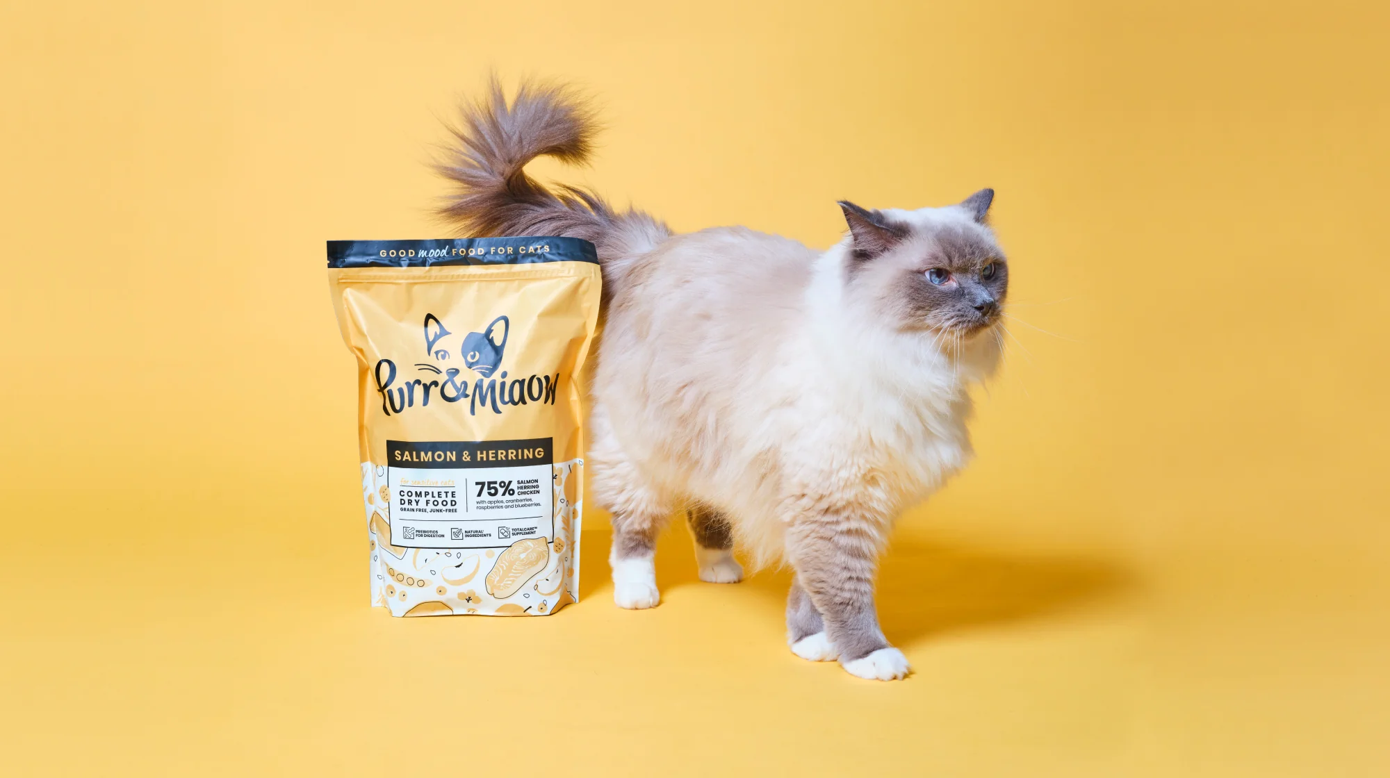 Dog Food shop -Dog Food shop CAN DOGS EAT CAT FOOD 1