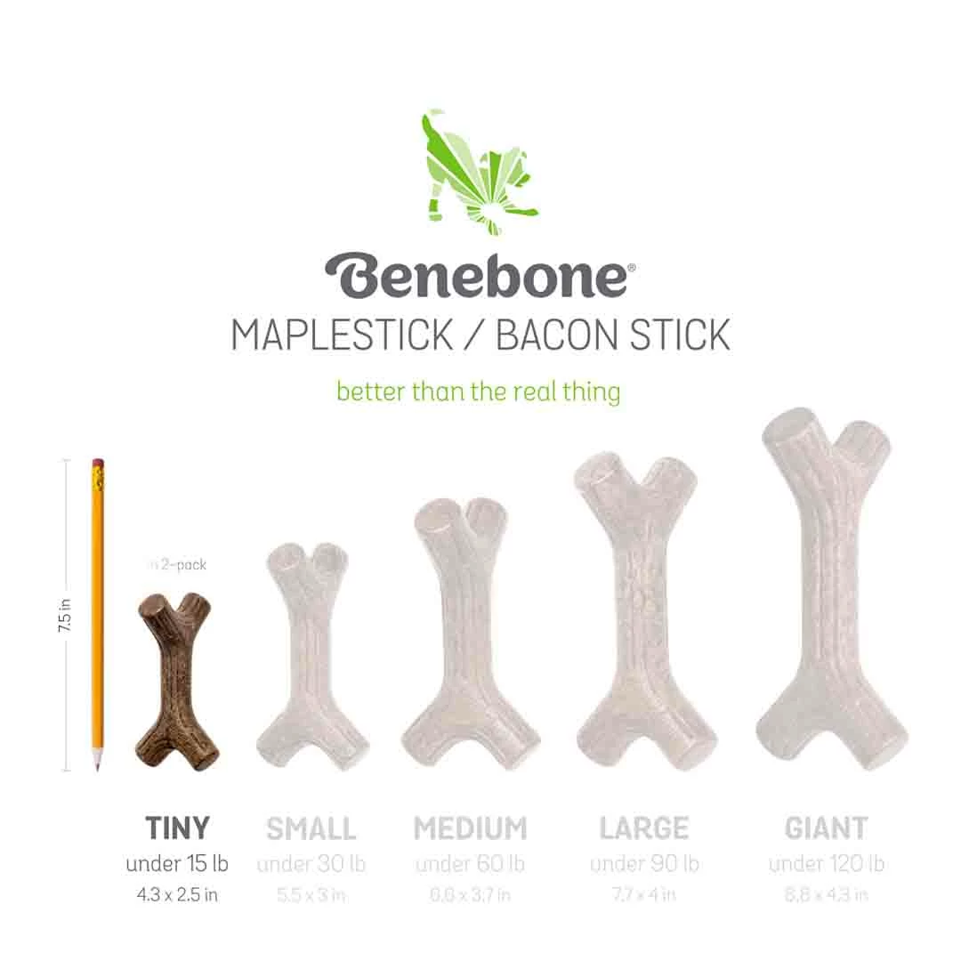 Benebone Puppy Maplestick Zaggler Bacon Tiny 2 Pack 5 Benebone Puppy Maplestick Zaggler Bacon Tiny 2 Pack - Image 5