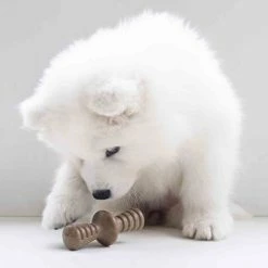 Benebone Puppy Maplestick Zaggler Bacon Tiny 2 Pack 9 Benebone Puppy Maplestick Zaggler Bacon Tiny 2 Pack -Dog Food shop benebone puppy tiny 2 pack durable zaggler