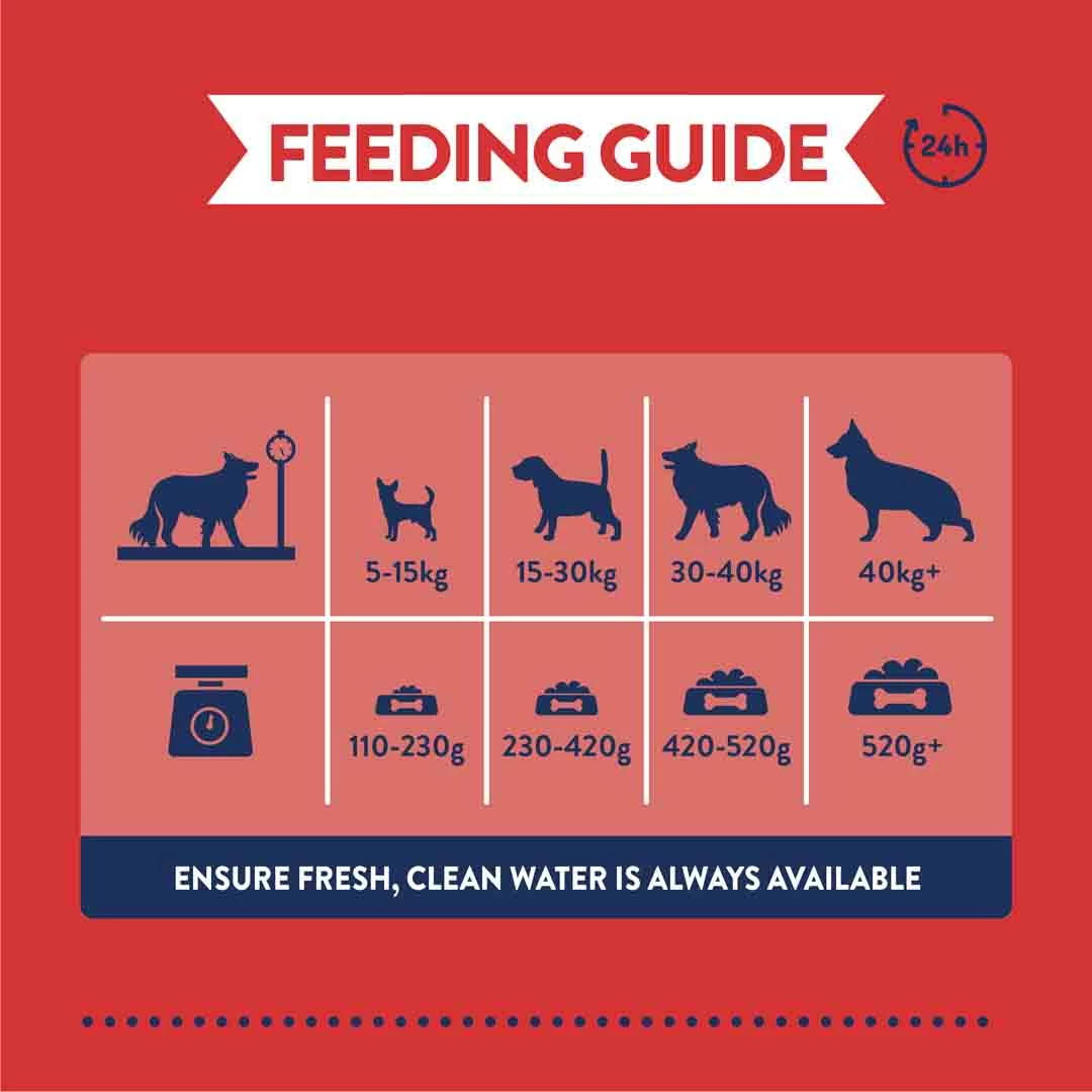 Burgess Complete Adult Dog Food Rich In British Beef 15kg 4 Burgess Complete Adult Dog Food Rich In British Beef 15kg - Image 4