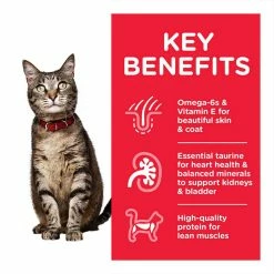 Hills Science Plan Hill's Science Plan Adult Cat Food Lamb & Rice Flavour 1.5kg -Dog Food shop hill 27s science plan adult 1 to 6 kibbles with 20lamb kibbles special diet