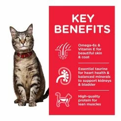 Hills Science Plan Hill's Science Plan Feline Adult Chicken 3kg -Dog Food shop hill 27s science plan adult 1 to 6 kibbles with chicken special diet