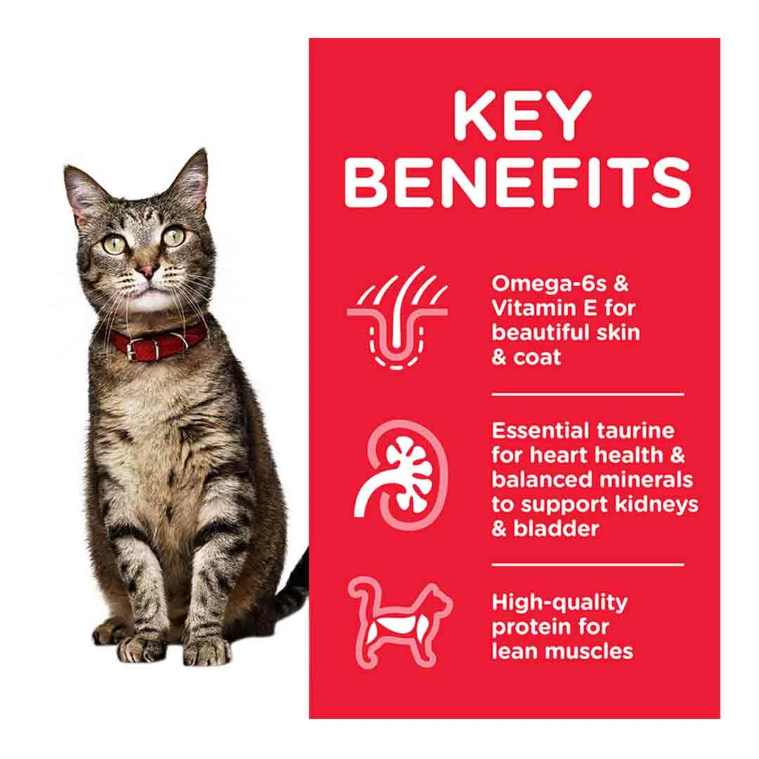 Hills Science Plan Hill's Science Plan Adult Wet Cat Food Multipack Chicken, Beef & Ocean Fish Flavour 12x85g 3 Hills Science Plan Hill's Science Plan Adult Wet Cat Food Multipack Chicken, Beef & Ocean Fish Flavour 12x85g - Image 3