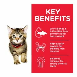 Hills Science Plan Hill's Science Plan Kitten Dry Food Chicken Flavour 1.5kg -Dog Food shop hill 27s science plan kitten less than 1 kibbles with chicken special diet