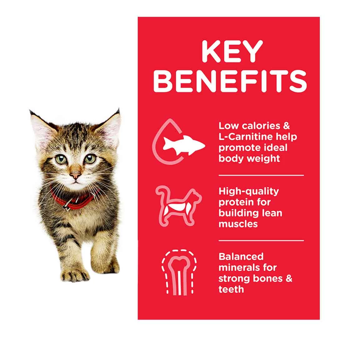 Hills Science Plan Hill's Science Plan Kitten Dry Food Tuna Flavour 1.5kg 2 Hills Science Plan Hill's Science Plan Kitten Dry Food Tuna Flavour 1.5kg - Image 2