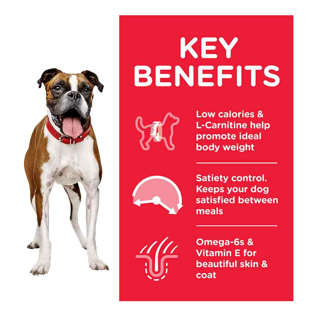 Hills Science Plan Hill's Science Plan Adult Light Medium Dry Dog Food Chicken Flavour 2.5kg 2 Hills Science Plan Hill's Science Plan Adult Light Medium Dry Dog Food Chicken Flavour 2.5kg - Image 2