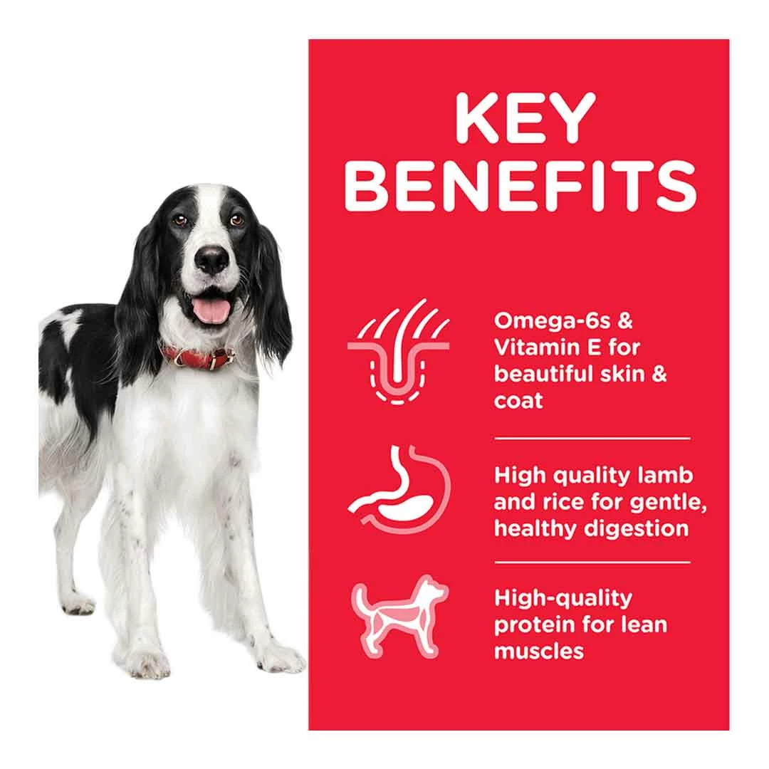 Hills Science Plan Hill's Science Plan Adult Medium Dry Dog Food Lamb & Rice Flavour 2.5kg 2 Hills Science Plan Hill's Science Plan Adult Medium Dry Dog Food Lamb & Rice Flavour 2.5kg - Image 2