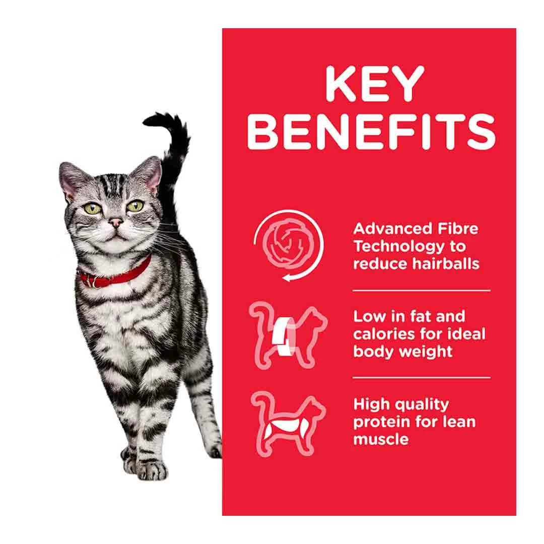 Hills Science Plan Hill's Science Plan Adult Hairball & Indoor Dry Cat Food Chicken Flavour 3kg 2 Hills Science Plan Hill's Science Plan Adult Hairball & Indoor Dry Cat Food Chicken Flavour 3kg - Image 2