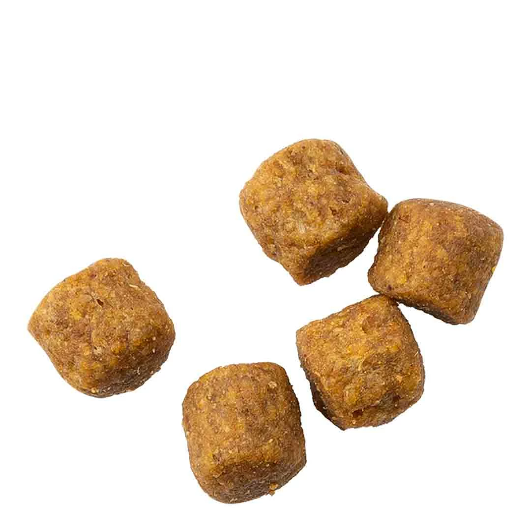 Hills Science Plan Hill's Science Plan Adult Medium Dry Dog Food Lamb & Rice Flavour 14kg 3 Hills Science Plan Hill's Science Plan Adult Medium Dry Dog Food Lamb & Rice Flavour 14kg - Image 3