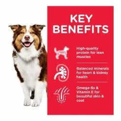 Dog Food shop -Dog Food shop hills science plan dog medium mature chicken dry kibble kibbles special diet