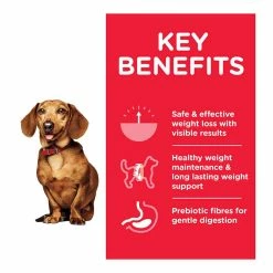 Hills Science Plan Hill's Science Plan Adult Perfect Weight Small & Mini Dry Dog Food Chicken Flavour 1.5kg -Dog Food shop hills science plan dog perfect weight chicken benefit