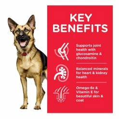 Hills Science Plan Hill's Science Plan Mature Adult Large Breed Dry Dog Food Chicken Flavour 14kg -Dog Food shop hills science plan mature adult kibbles benefit