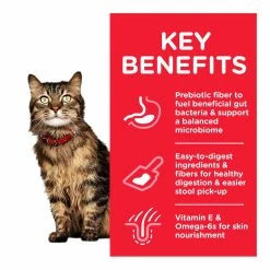 Dog Food shop -Dog Food shop hills sensitive stomach 20 26 20skin cat chicken dry food kibble special diet