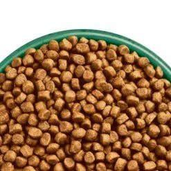 James Wellbeloved Adult Chicken & Rice Cat Food 4kg 9 James Wellbeloved Adult Chicken & Rice Cat Food 4kg -Dog Food shop james wellbeloved adult cat chicken 1