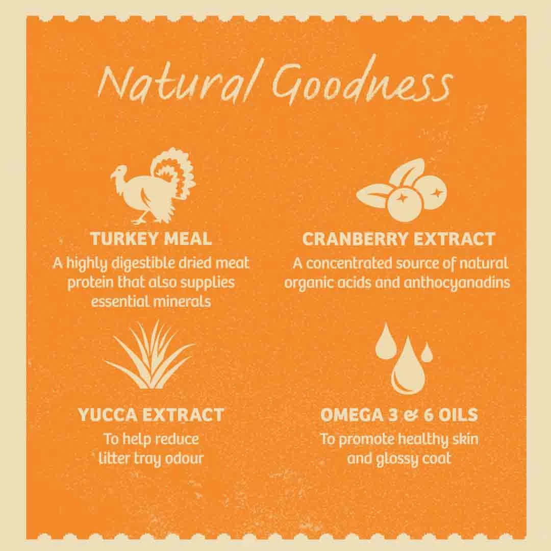 James Wellbeloved Adult Dry Cat Food, Turkey & Rice, 4kg 6 James Wellbeloved Adult Dry Cat Food, Turkey & Rice, 4kg - Image 6