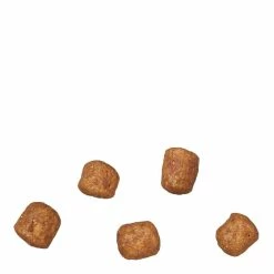 James Wellbeloved Adult Dry Cat Food, Turkey & Rice, 4kg 15 James Wellbeloved Adult Dry Cat Food, Turkey & Rice, 4kg -Dog Food shop james wellbeloved adult cat turkey 1