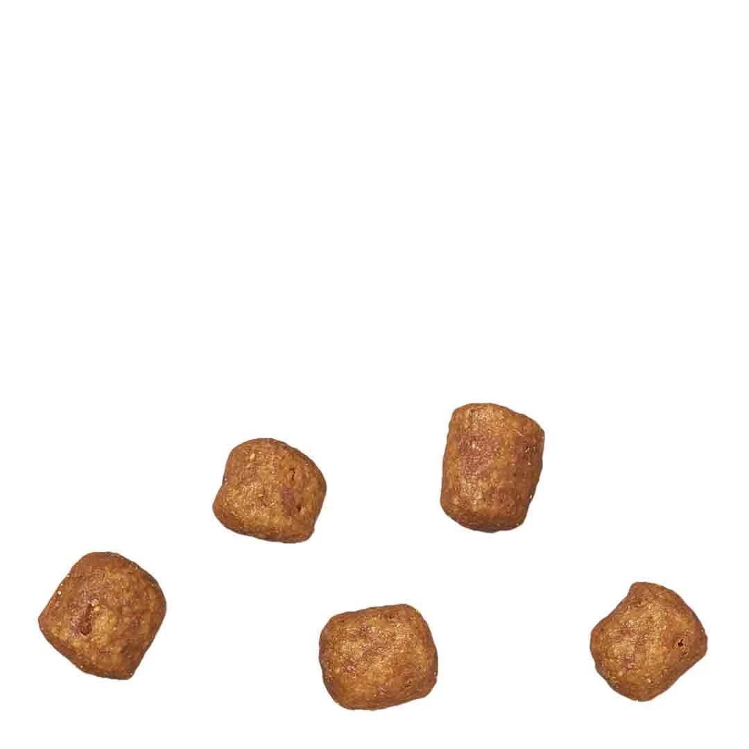 James Wellbeloved Adult Dry Cat Food, Turkey & Rice, 4kg 7 James Wellbeloved Adult Dry Cat Food, Turkey & Rice, 4kg - Image 7