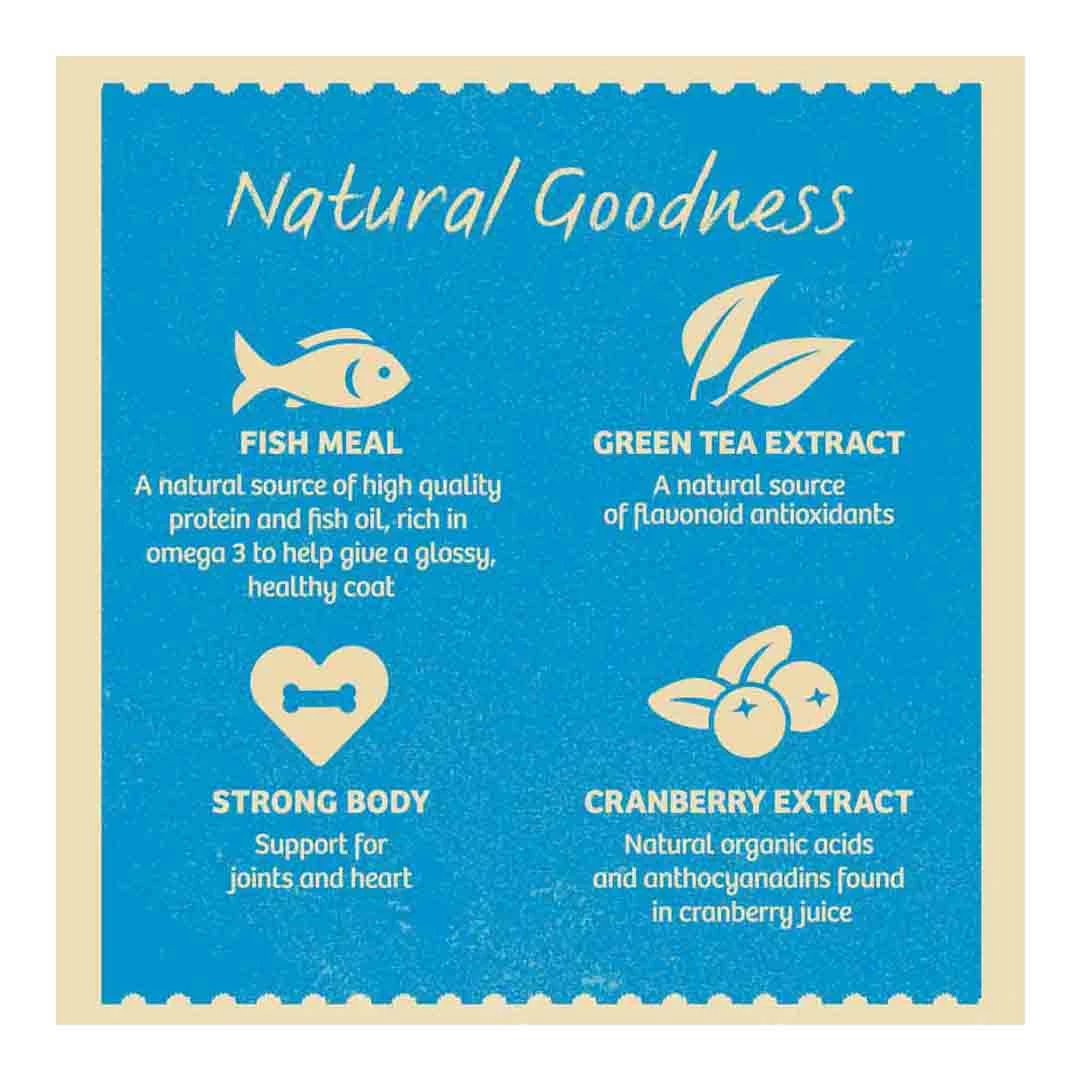 James Wellbeloved Senior Small Breed Fish & Vegetable Grain Free 1.5kg 6 James Wellbeloved Senior Small Breed Fish & Vegetable Grain Free 1.5kg - Image 6