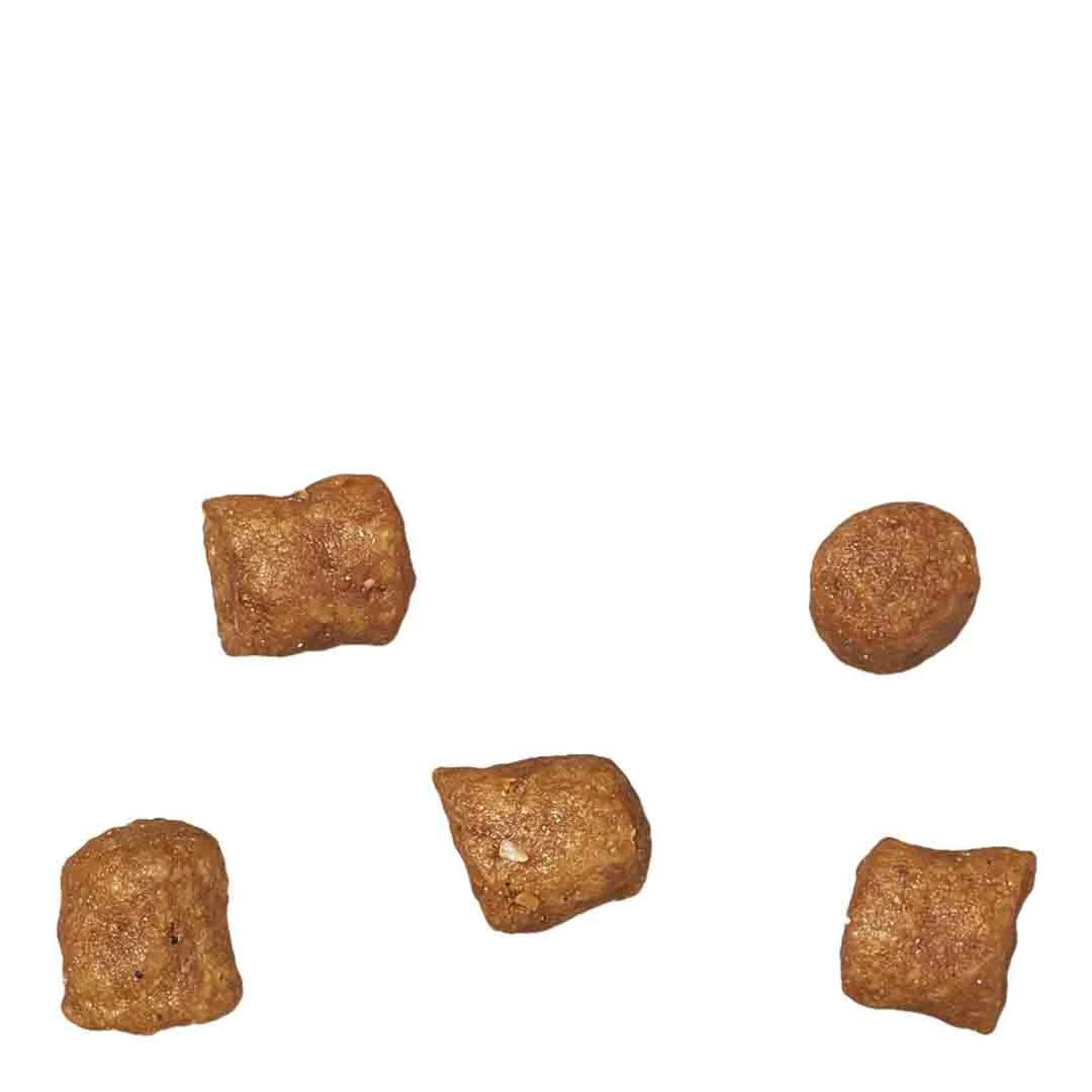 James Wellbeloved Kitten Dry Food, Turkey & Rice, 1.5kg 5 James Wellbeloved Kitten Dry Food, Turkey & Rice, 1.5kg - Image 5