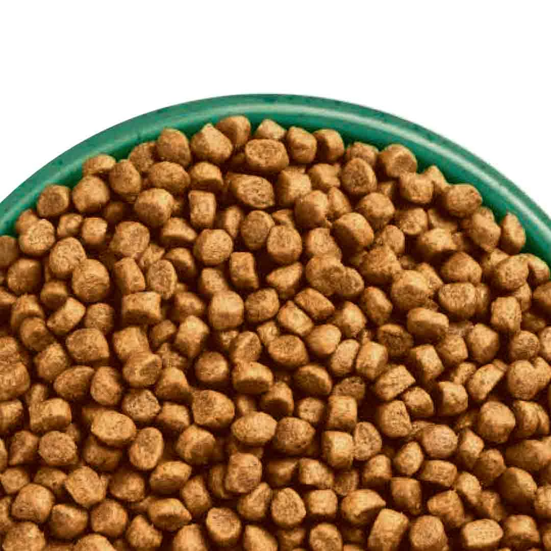 James Wellbeloved Dry Cat Food For Seniors, Turkey & Rice, 1.5kg 5 James Wellbeloved Dry Cat Food For Seniors, Turkey & Rice, 1.5kg - Image 5