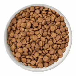 Dog Food shop -Dog Food shop nature 27s variety adult cat chicken flat lay 1