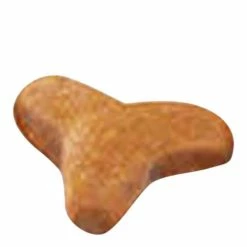 Royal Canin Bengal Cat Food 2kg -Dog Food shop royal canin adult bengal cat dry kibble