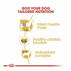 Royal Canin Boxer Adult 3kg -Dog Food shop royal canin adult boxer tailor made dry food kibbles special diet