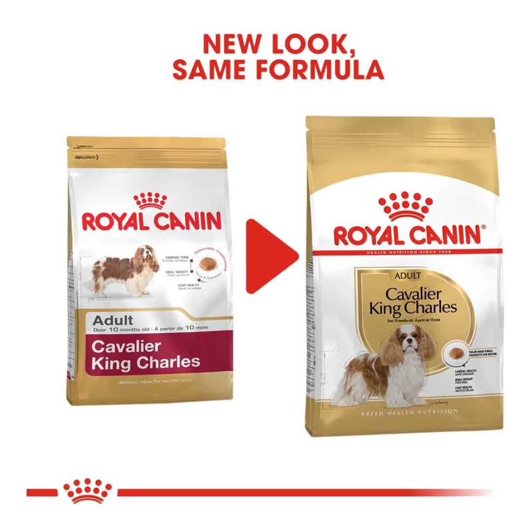 Royal Canin Cavalier King Charles Adult 1.5kg 2 Royal Canin Cavalier King Charles Adult 1.5kg - Image 2