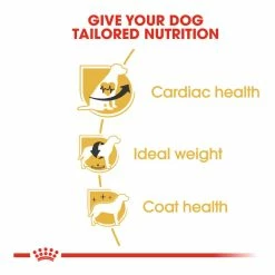 Royal Canin Cavalier King Charles Adult 1.5kg 8 Royal Canin Cavalier King Charles Adult 1.5kg -Dog Food shop royal canin adult cavalier 20king 20charles dry food kibbles special diet