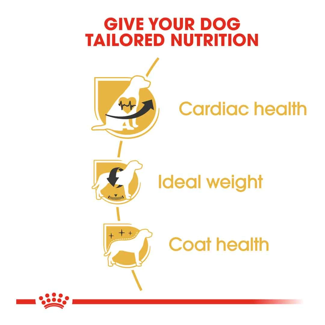 Royal Canin Cavalier King Charles Adult 1.5kg 3 Royal Canin Cavalier King Charles Adult 1.5kg - Image 3