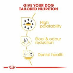 Royal Canin Chihuahua Adult 1.5kg -Dog Food shop royal canin adult chihuahua dry food kibbles special diet