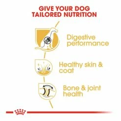 Royal Canin German Shepherd 24 11kg -Dog Food shop royal canin adult german sheoherd dry kibble special diet