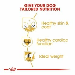 Royal Canin Golden Retriever Adult 3kg -Dog Food shop royal canin adult golden retriever kibble benefits