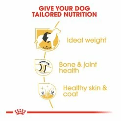 Royal Canin Labrador Retriever Adult 12kg -Dog Food shop royal canin adult labrador 20retriever dry food kibbles special diet