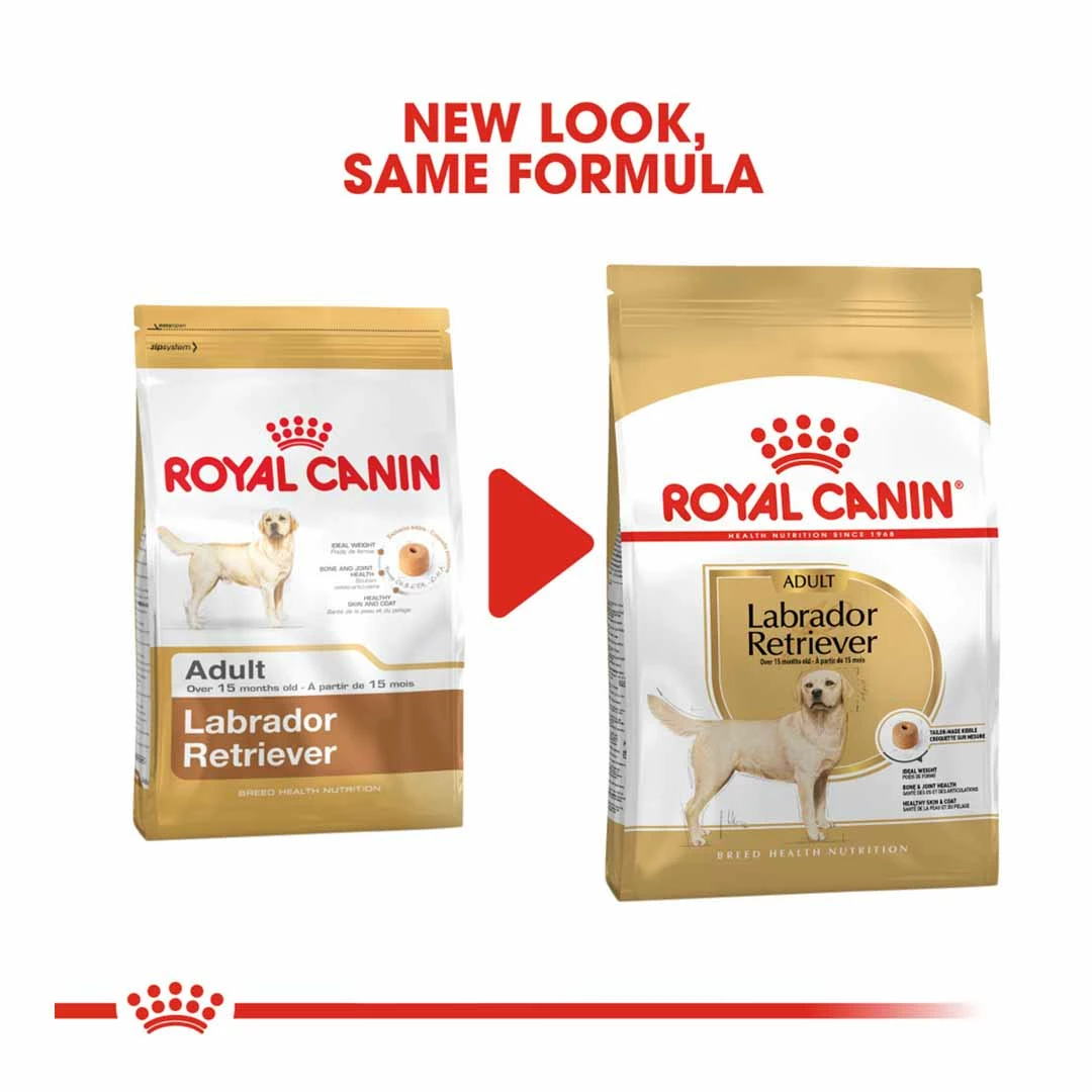 Royal Canin Labrador Retriever Adult 3kg 2 Royal Canin Labrador Retriever Adult 3kg - Image 2