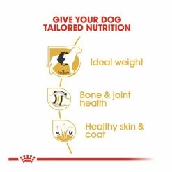 Royal Canin Labrador Retriever Adult 3kg 8 Royal Canin Labrador Retriever Adult 3kg -Dog Food shop royal canin adult labrador retriever tailored made dry food kibbles special diet