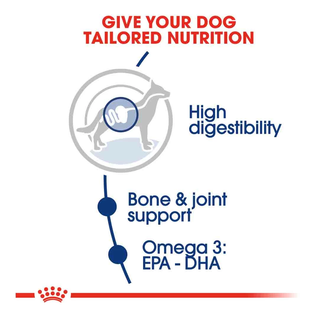 Royal Canin Maxi Adult 15kg 3 Royal Canin Maxi Adult 15kg - Image 3