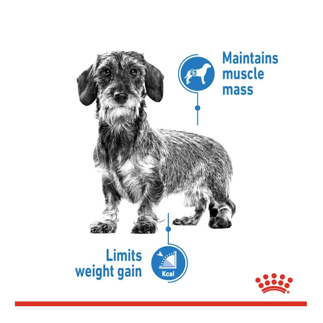 Royal Canin Mini Light 8kg 2 Royal Canin Mini Light 8kg - Image 2