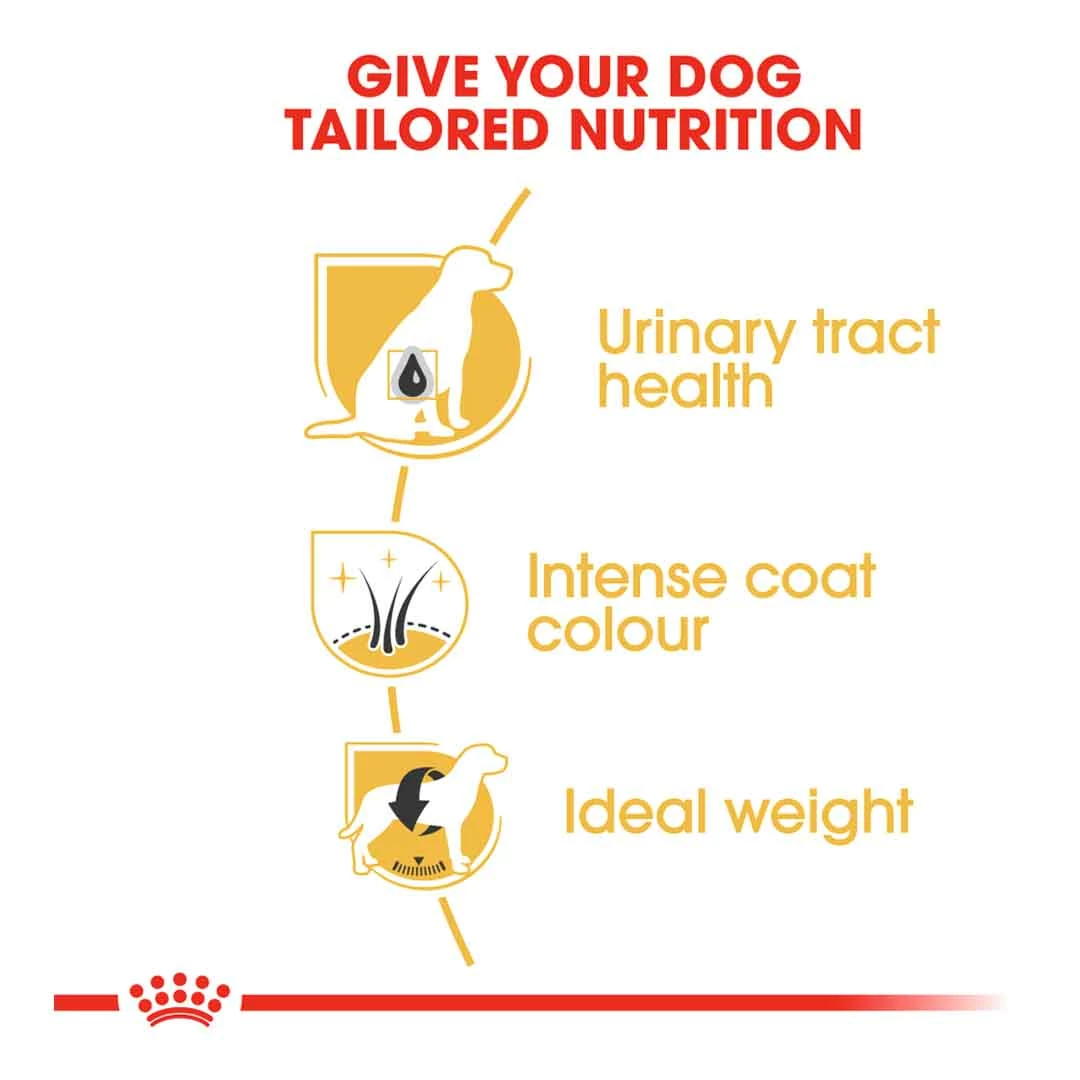 Royal Canin Miniature Schnauzer Adult 3kg 4 Royal Canin Miniature Schnauzer Adult 3kg - Image 4