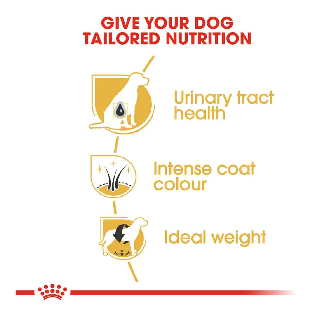 Royal Canin Miniature Schnauzer Adult 7.5kg 3 Royal Canin Miniature Schnauzer Adult 7.5kg - Image 3
