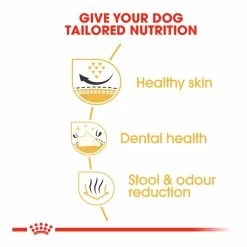 Royal Canin Shih Tzu Adult 1.5kg -Dog Food shop royal canin adult shih 20tzu dry food kibbles special diet