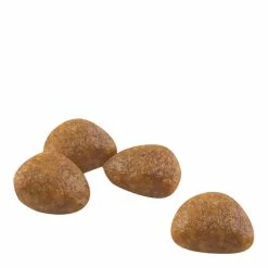 Royal Canin Outdoor +7 2kg -Dog Food shop royal canin cat active life outdoor dry kibble