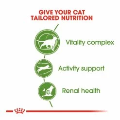 Royal Canin Outdoor +7 2kg -Dog Food shop royal canin cat active life outdoor dry kibble benefits