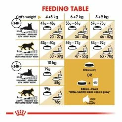 Royal Canin Maine Coon 31 4kg -Dog Food shop royal canin cat adult maine coon dry food kibbles feeding guide