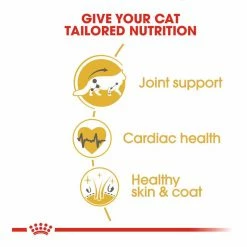 Royal Canin Maine Coon 10kg -Dog Food shop royal canin cat adult maine coon dry food kibbles special diet 1
