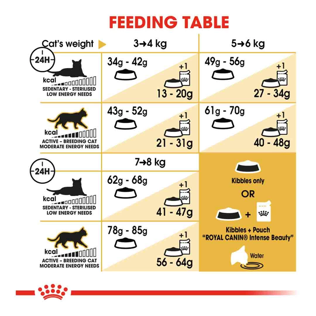 Royal Canin Ragdoll 2kg 5 Royal Canin Ragdoll 2kg - Image 5